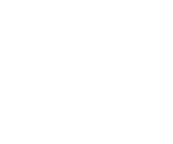 Aki's Fahrzeugpflege